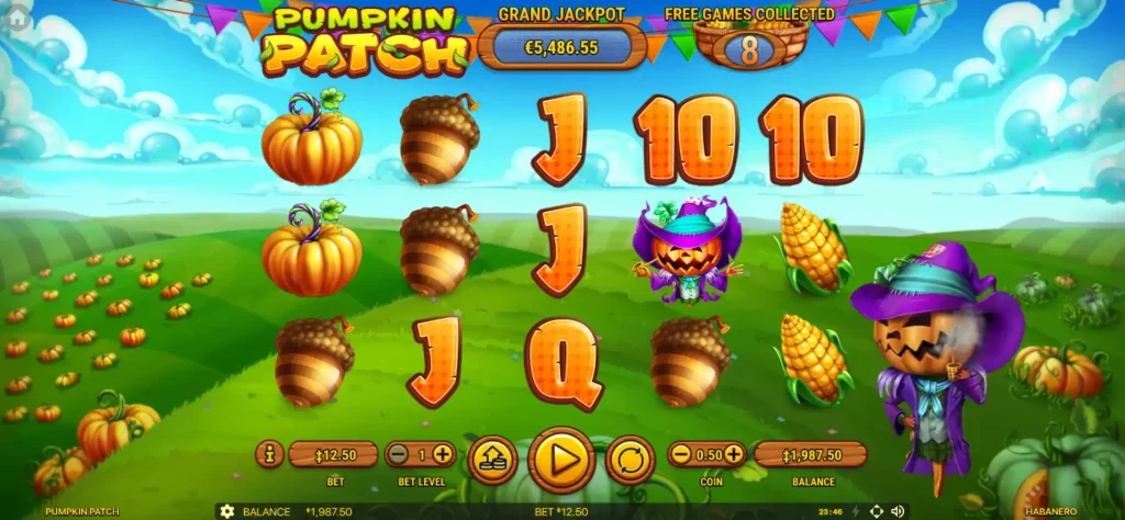 Pumpkin Patch