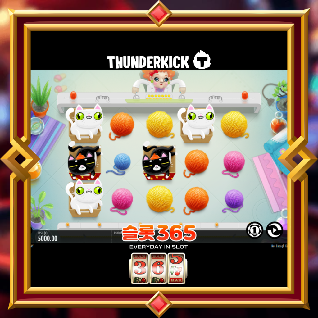 [무료슬롯] “낫 이너프 키턴즈” – 썬더킥(ThunderKick)
