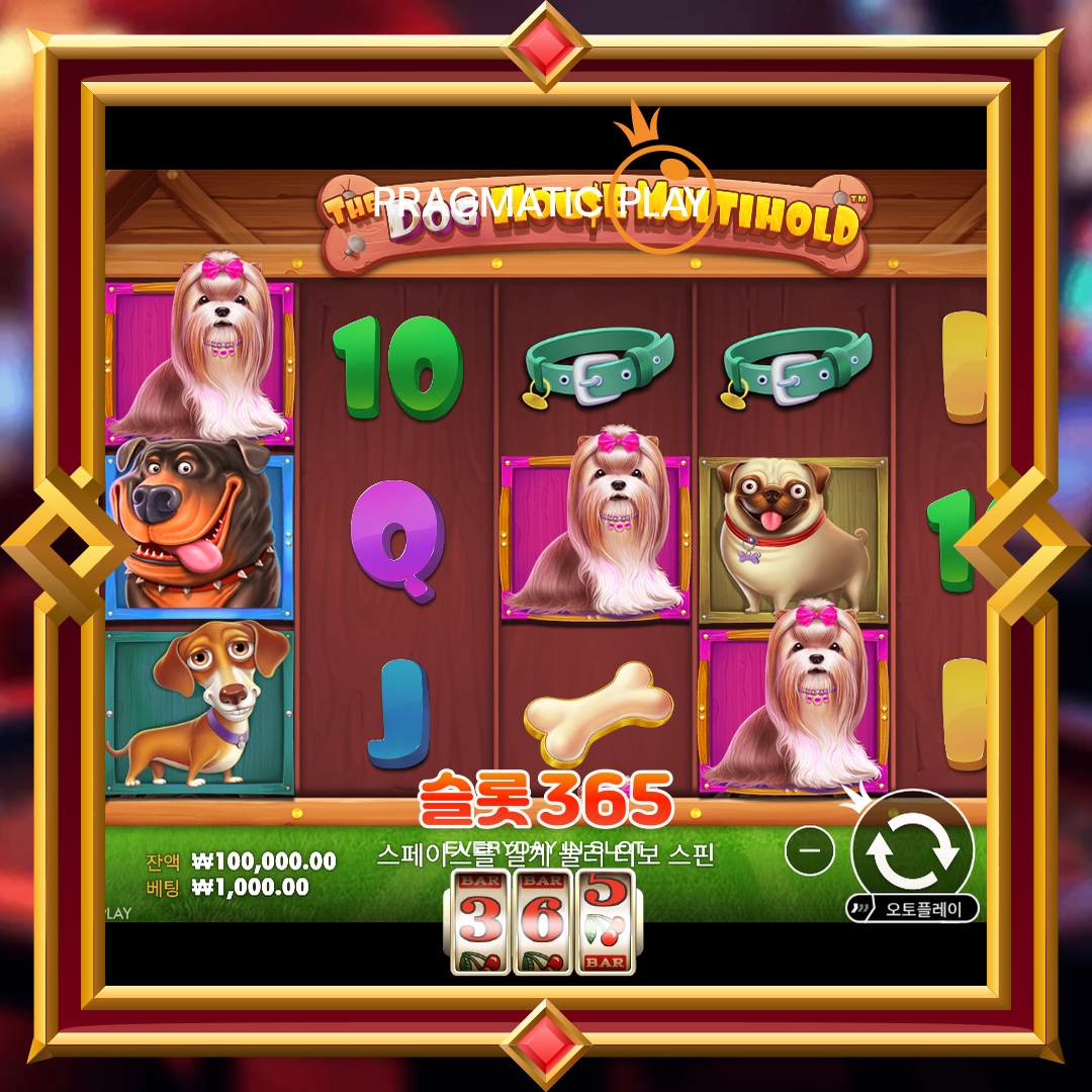 프라그마틱플레이 [더 도그 하우스 멀티홀드]