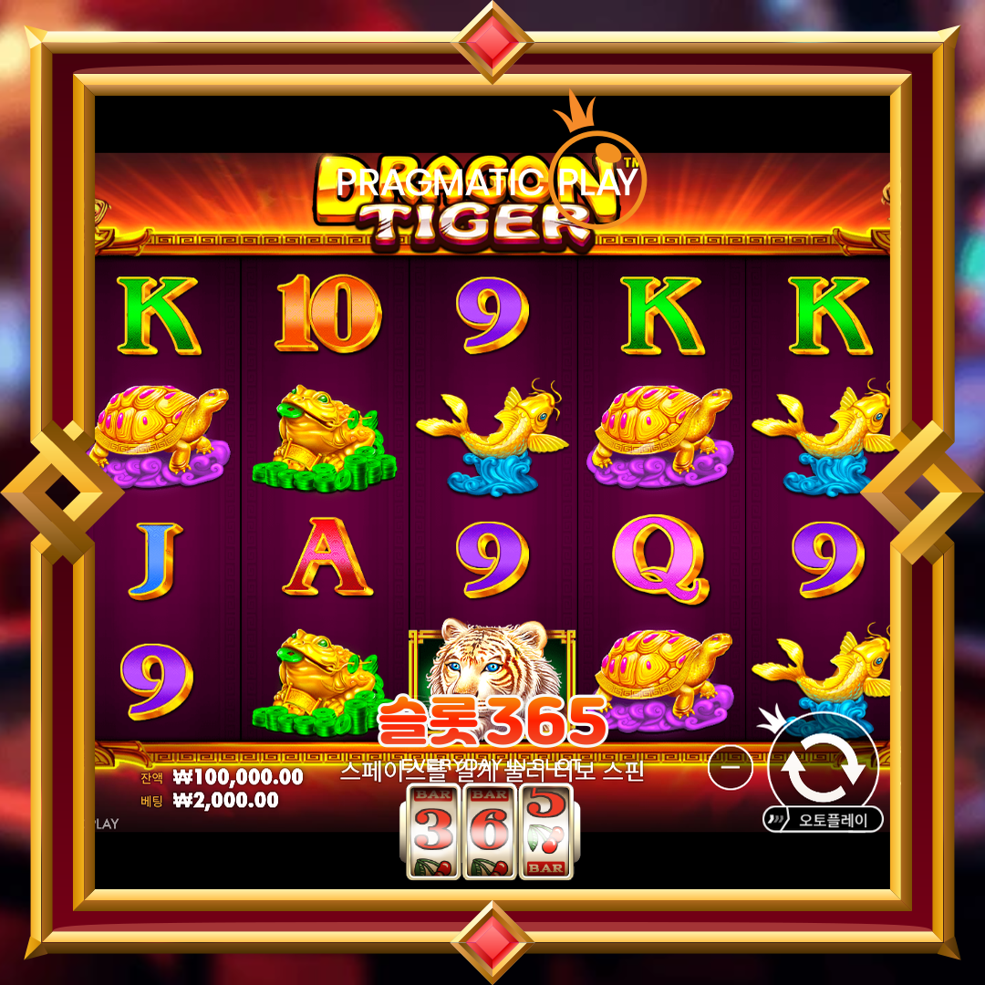 프라그마틱플레이 [드래곤 타이거]