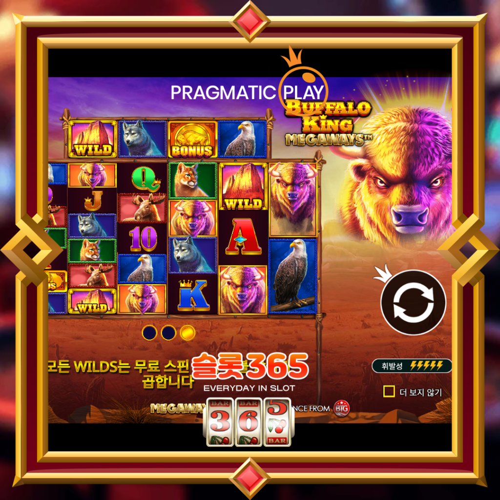 [무료슬롯] “버팔로 킹 메가웨이즈” – 프라그마틱 플레이(Pragmatic Play)