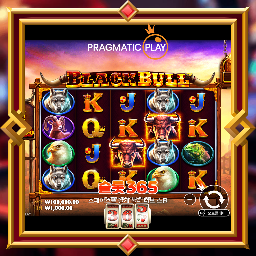 프라그마틱플레이 [블랙 불]