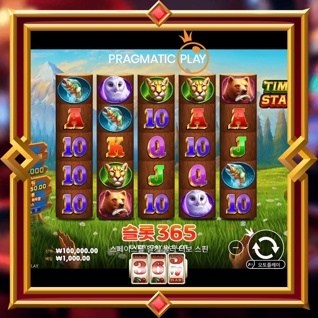 프라그마틱플레이 [팀버 스택]