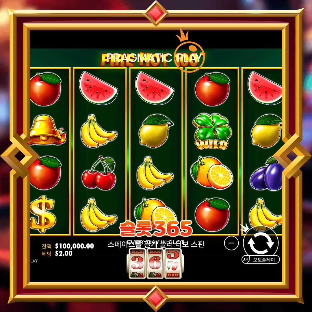 프라그마틱플레이 [파이어 핫 100]