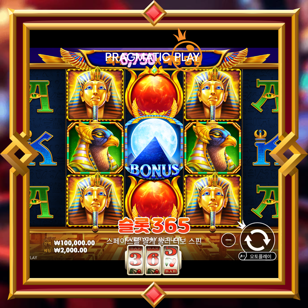 프라그마틱플레이 [포춘 오브 기자]