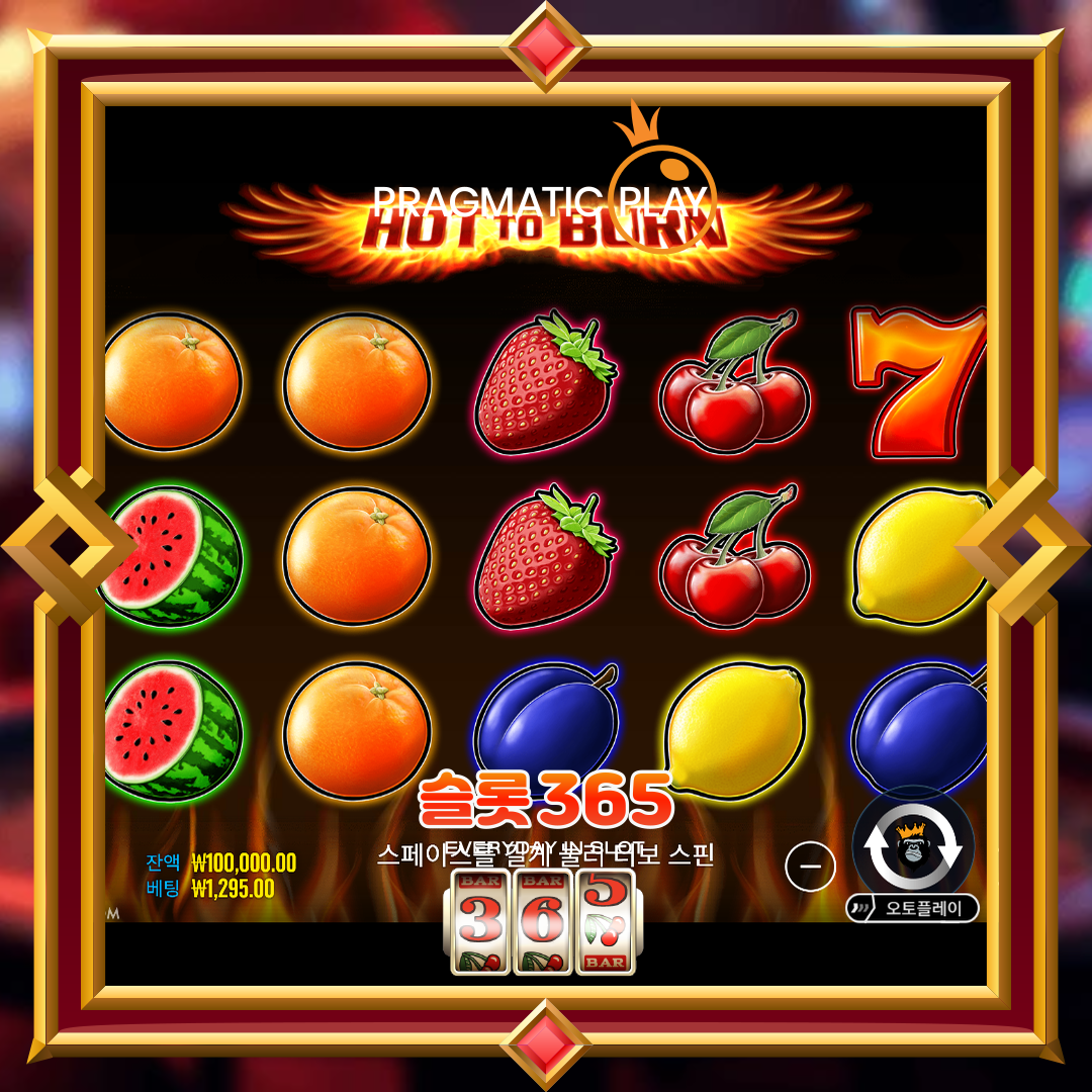 프라그마틱플레이 [핫투번]