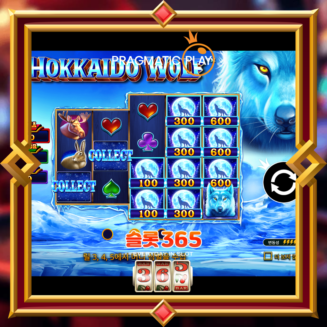 프라그마틱플레이 [후카이도 울프]