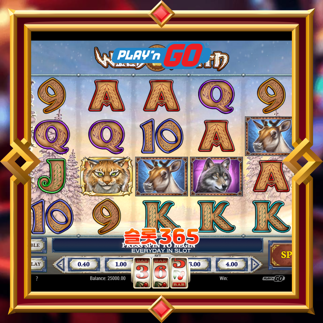 플레이엔고 [와일드 노스]