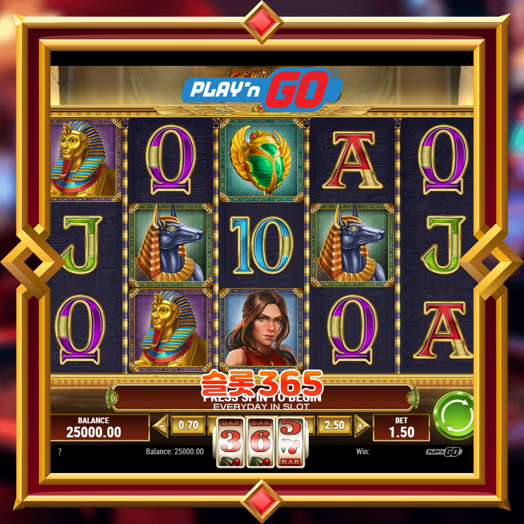 플레이엔고 [캣 와일드 엔 더 둠 오브 데드]