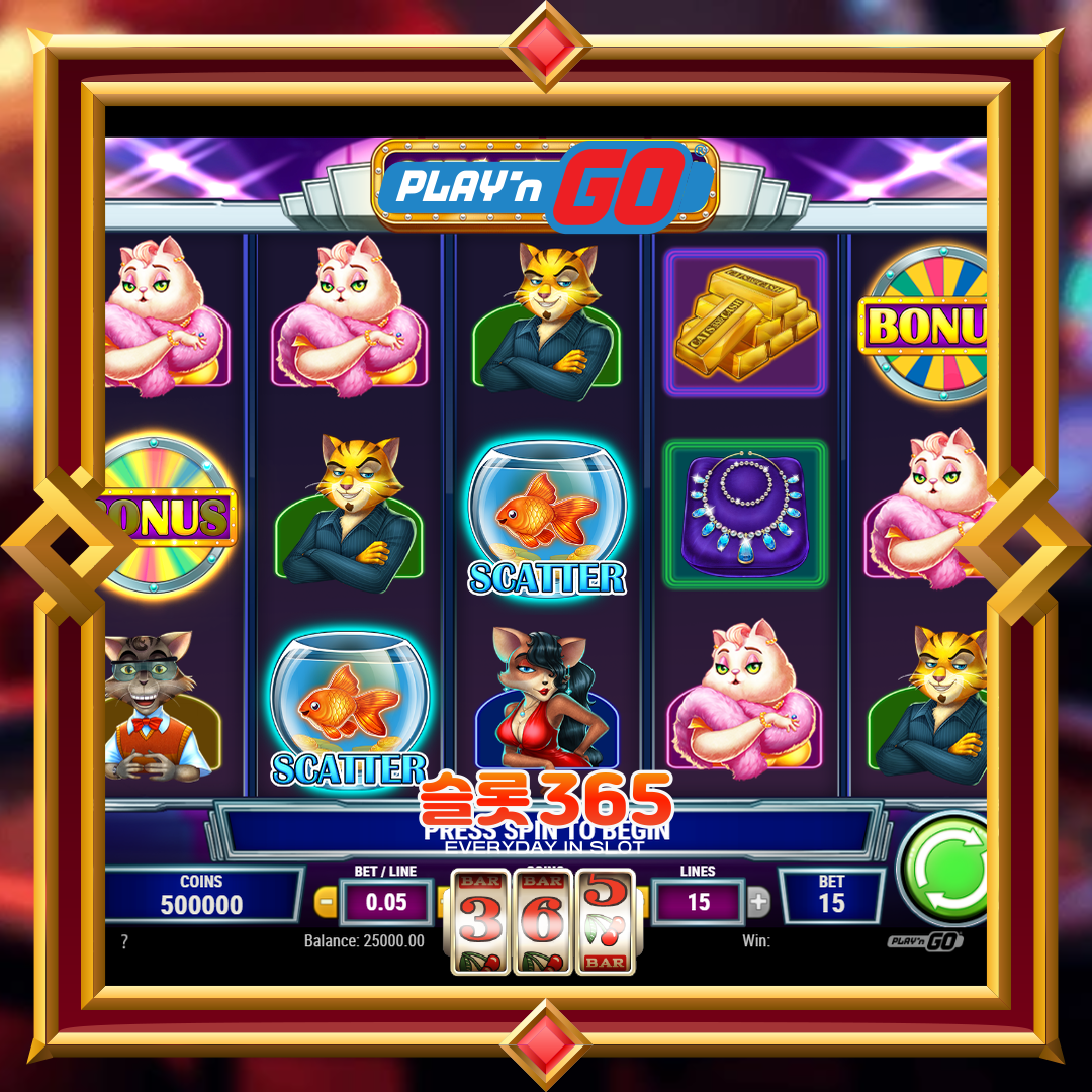 플레이엔고 [캣츠 앤 캐쉬]