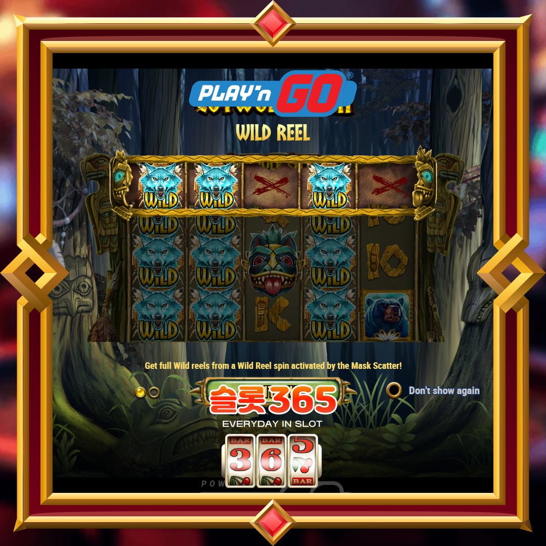 플레이엔고 [코이울프 캐쉬]