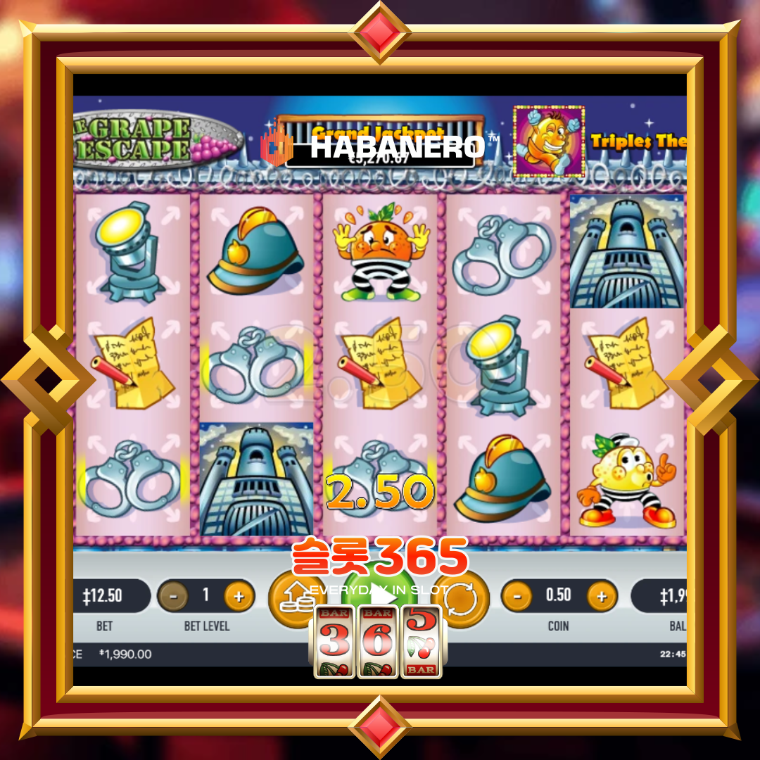 하바네로슬롯 [더 그라피 이스케이프]