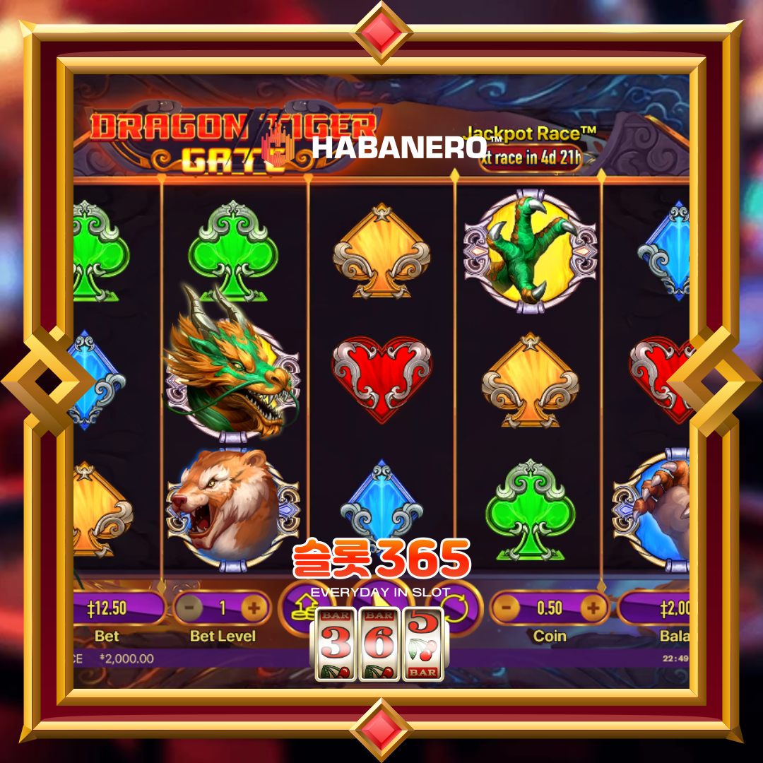 하바네로슬롯 [드래곤 타이거 게이트]
