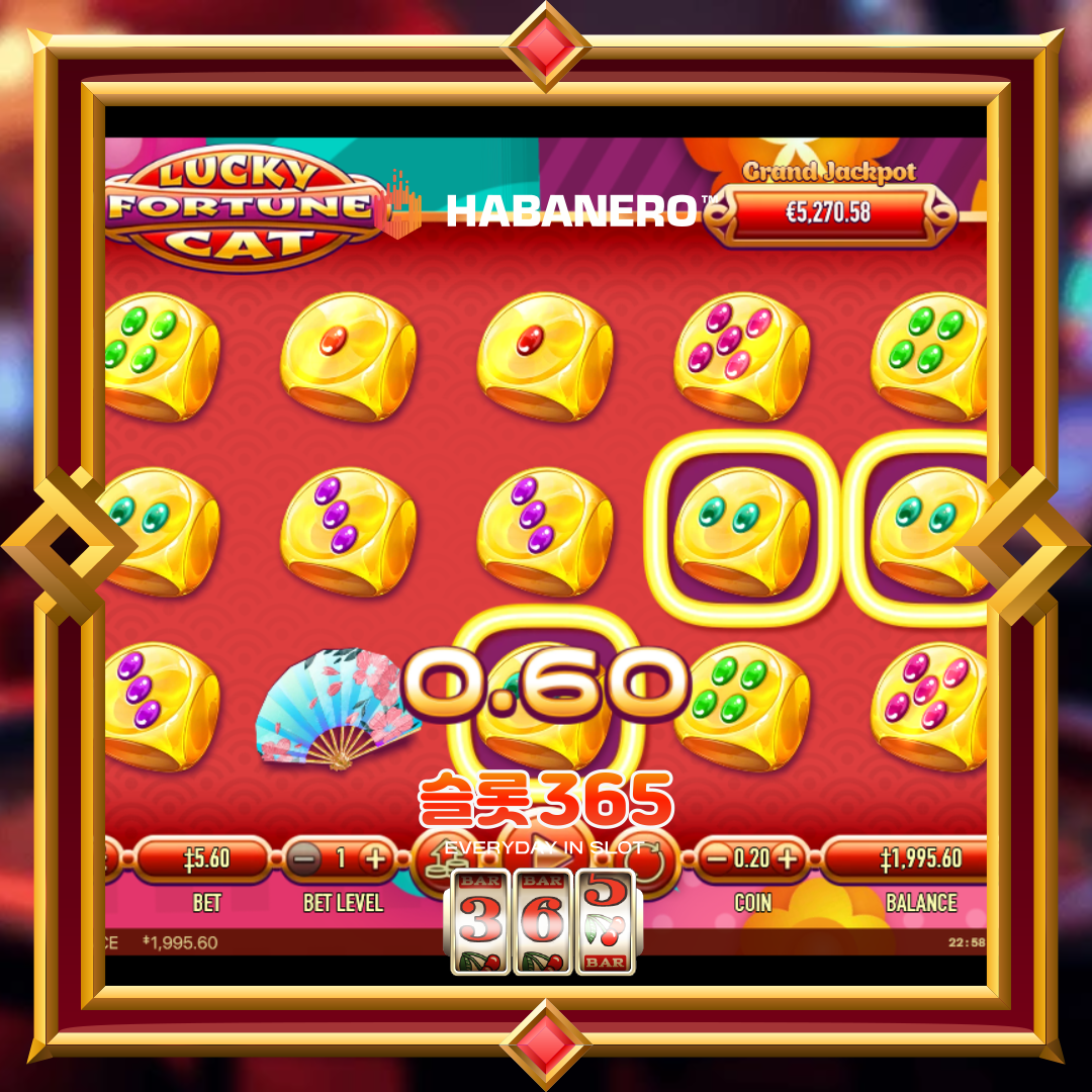 하바네로슬롯 [럭키 포춘 켓]