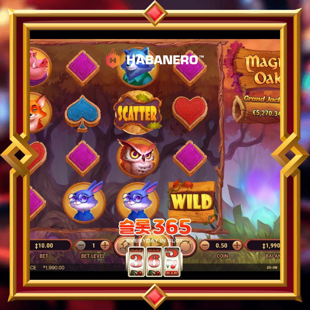 하바네로슬롯 [매직 오크]