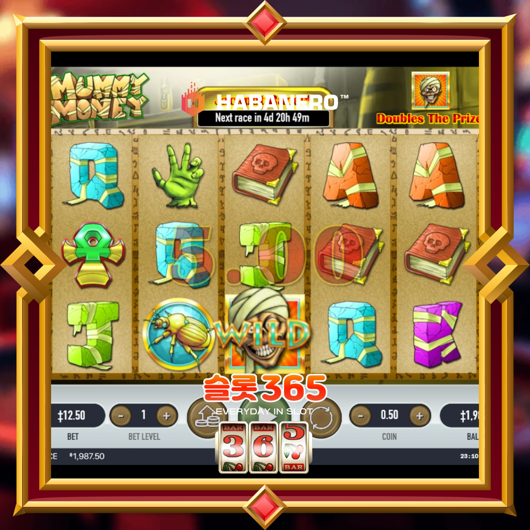 하바네로슬롯 [머미머니]