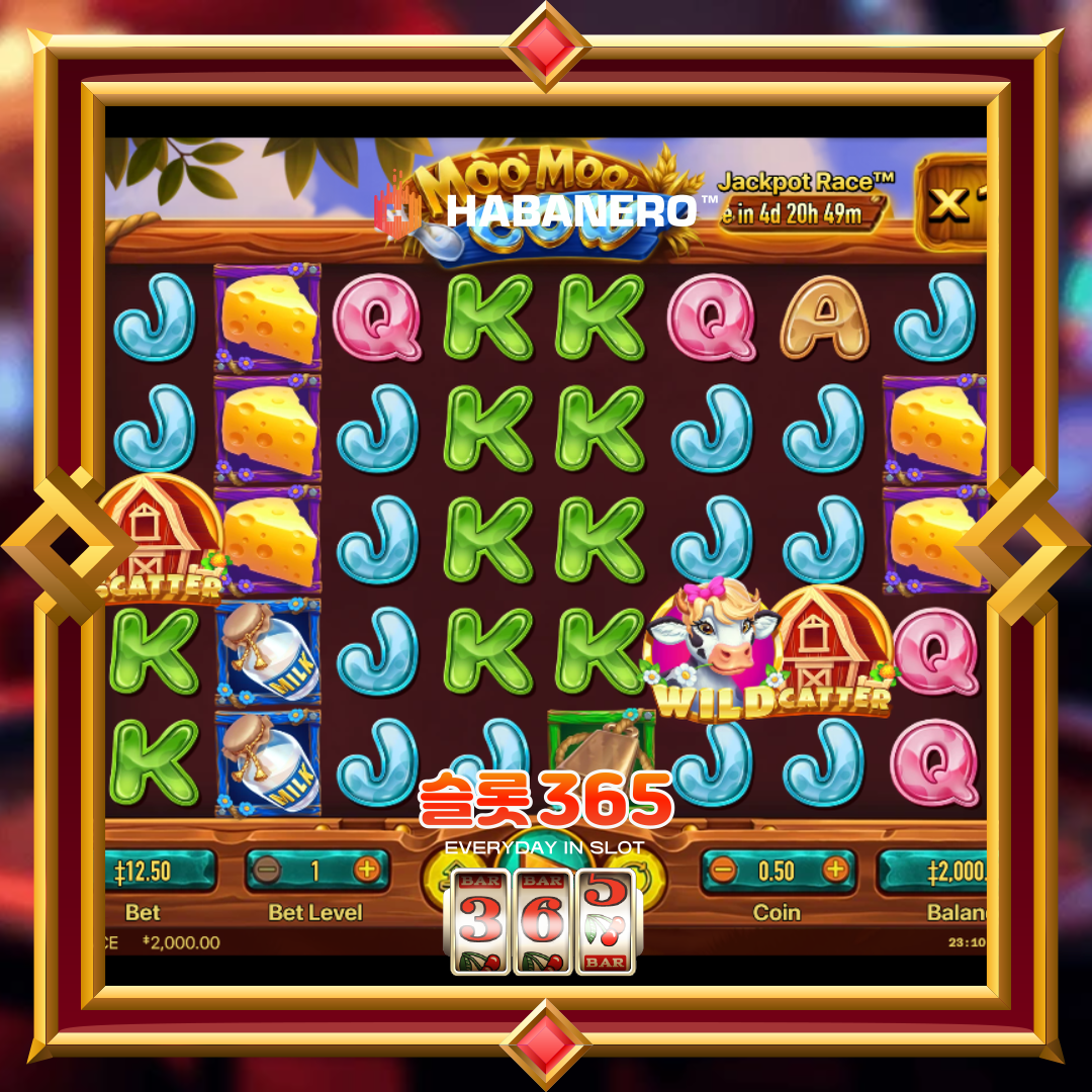 하바네로슬롯 [무무 카우]