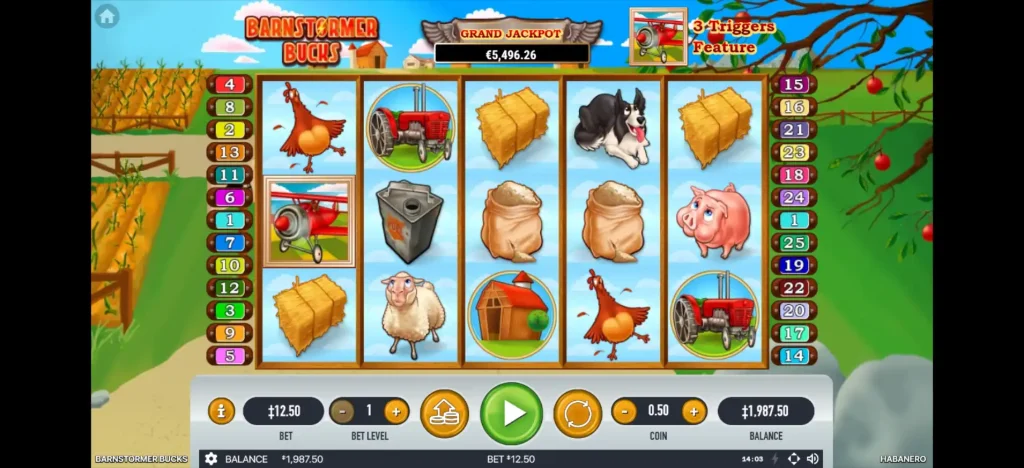 Barnstormer Bucks