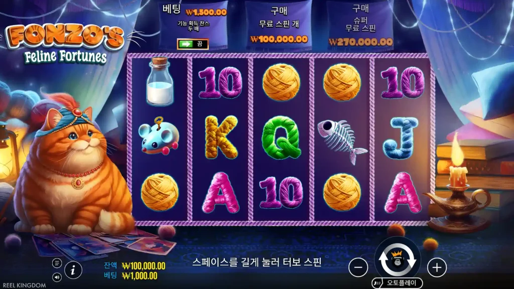 Fonzo's Feline Fortunes